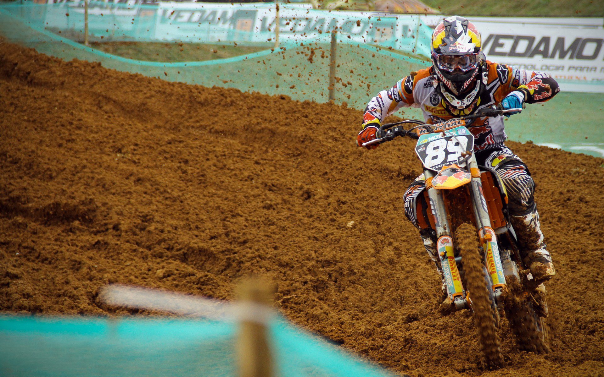 焦点马术赛场的明星坐骑，马术焦娇